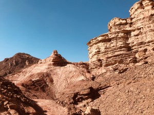 IMG_4145