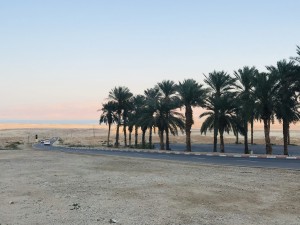 IMG_4208