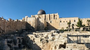 IMG_4351
